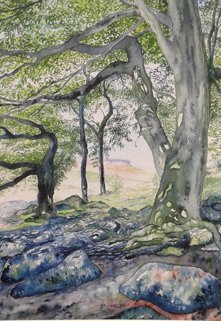 Looking towards Carl Wark © Duncan Friend2016