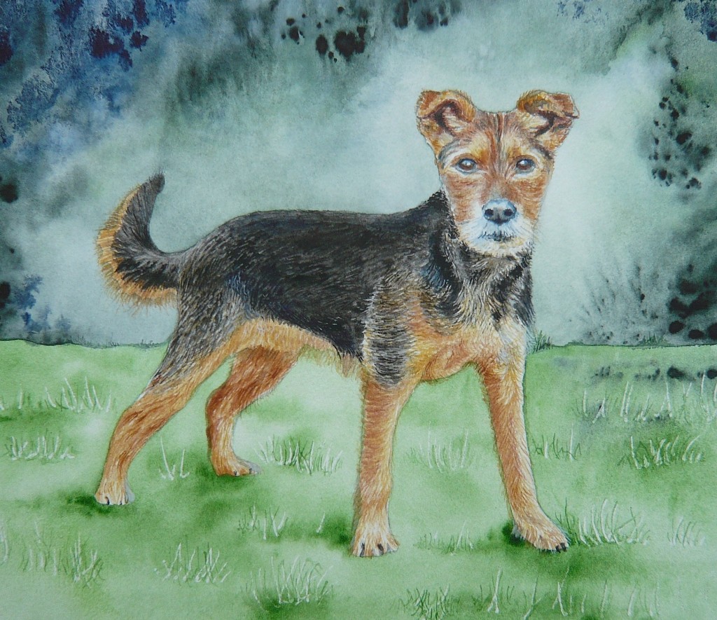p1190675-copy