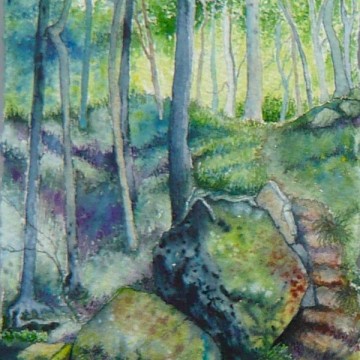 Padley Gorge (cropped) (c) 2016 Duncan Friend