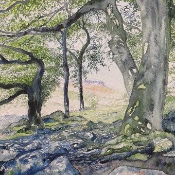 Looking towards Carl Wark © DuncanFriend 2016