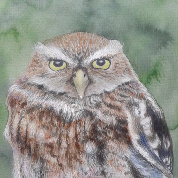 20160607_142125 copy